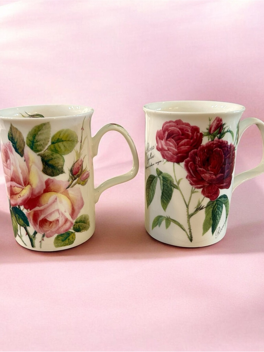 Roy Kirkham Fine Bone China Set of 2 Mugs/Tea Cups
